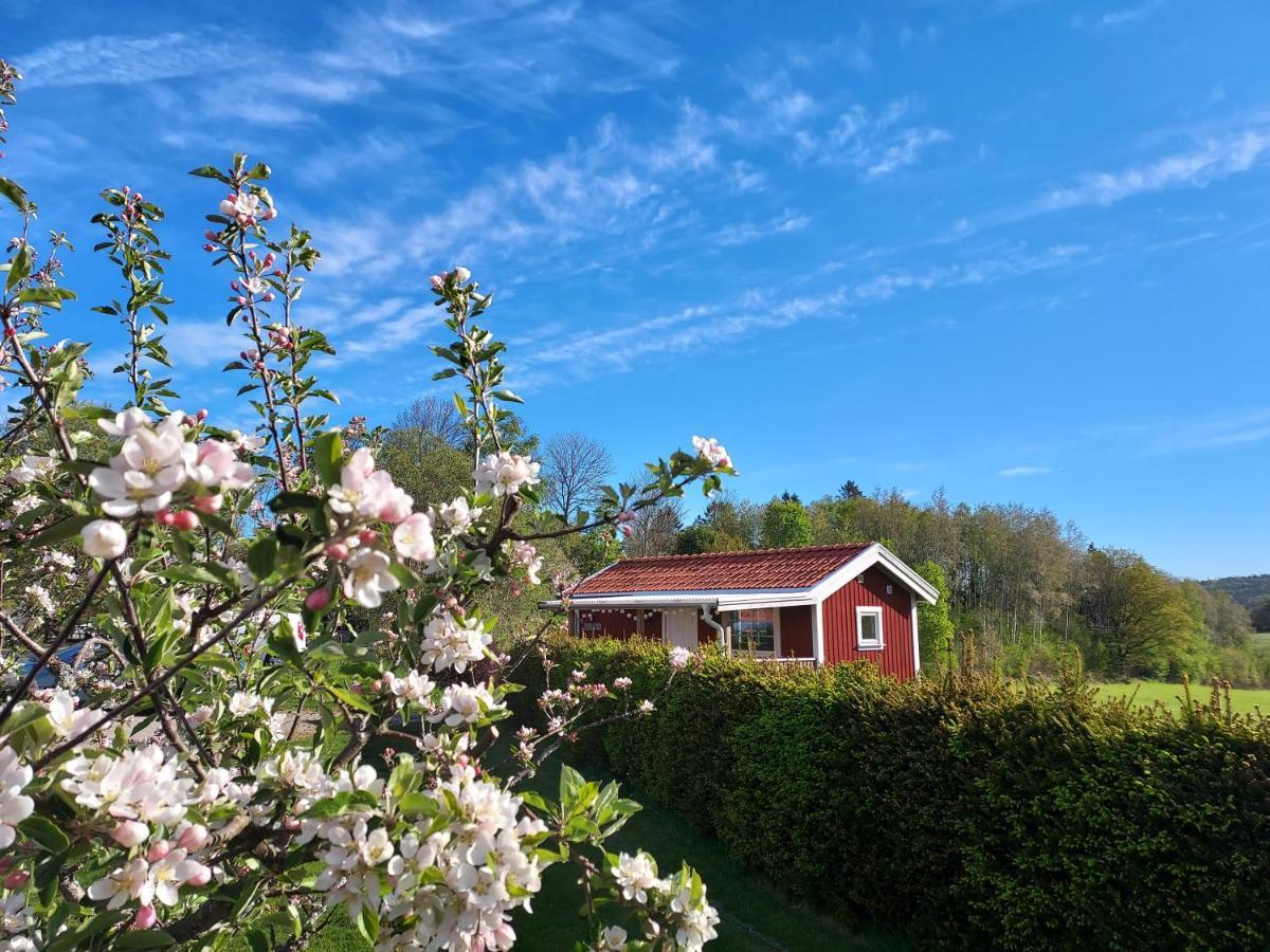 Älgbergets Bed&Breakfast Ucklum Exterior foto