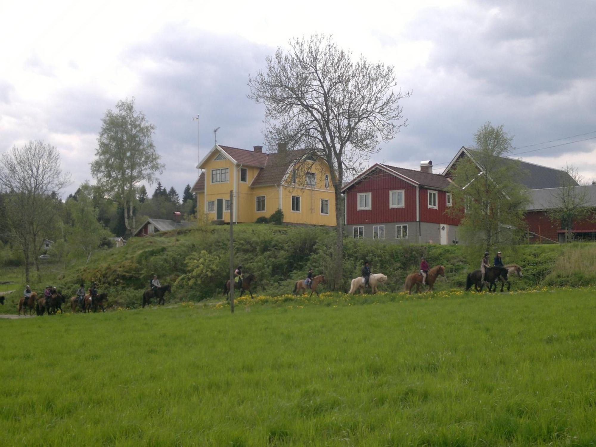 Älgbergets Bed&Breakfast Ucklum Exterior foto